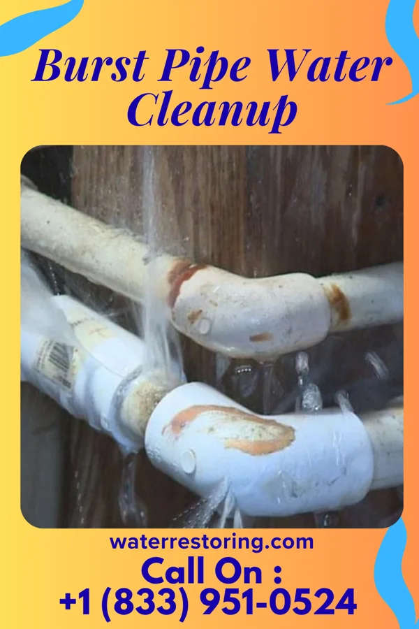 Burst Pipe Water Cleanup in Vinco, PA