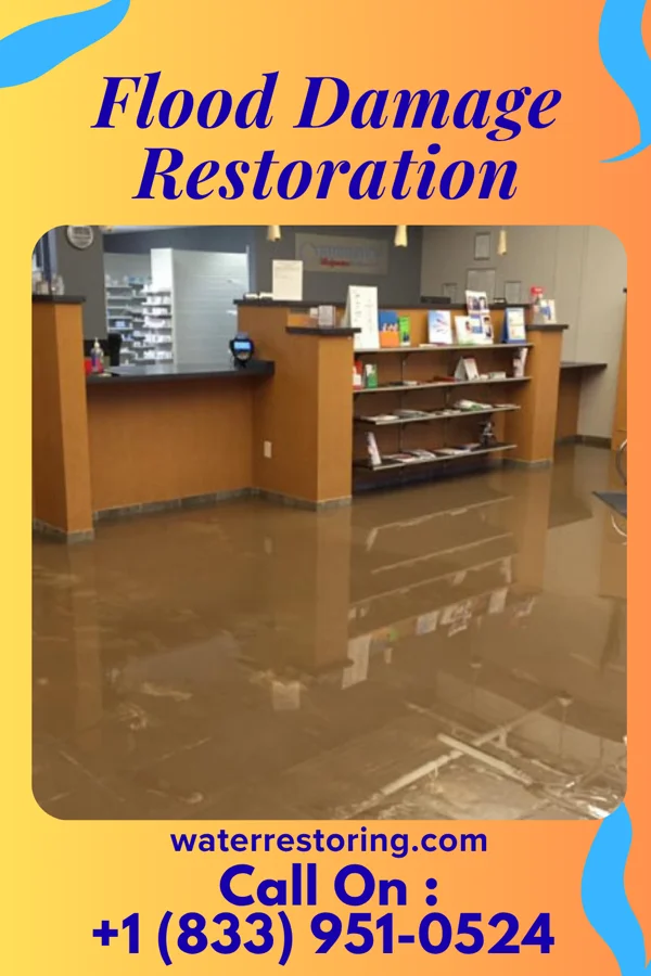Flood Damage Restoration in Vinco, PA