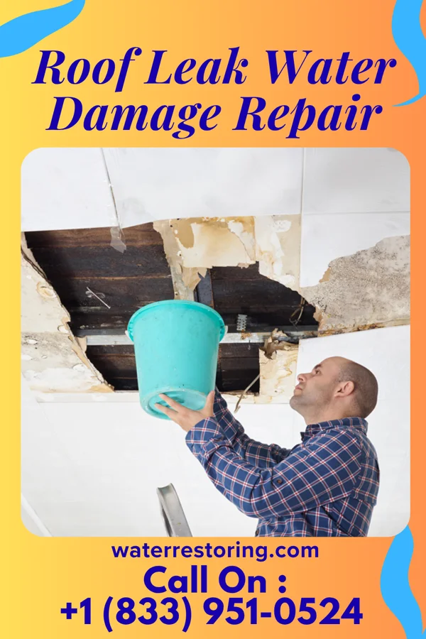 Roof Leak Water Damage Repair in Vinco, PA