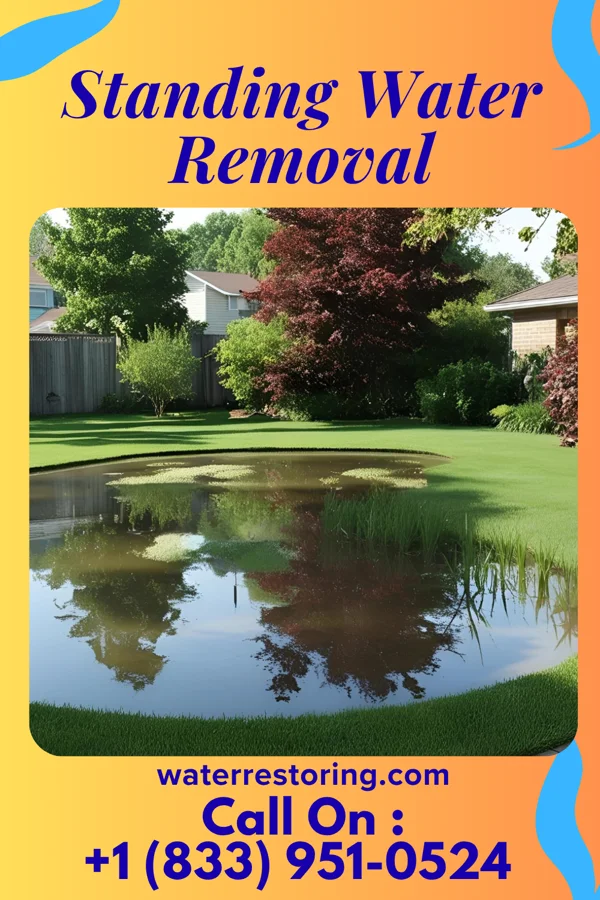Standing Water Removal in Vinco, PA
